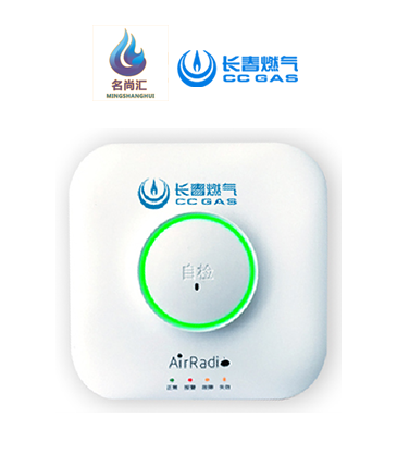 J9集团报警器（自然气）